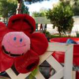 Fiori di peluche o pupazzi di stoffa lasciati dai bimbi si affacciano su staccionate bianche